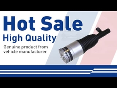 Воздушный амортизатор-31658904