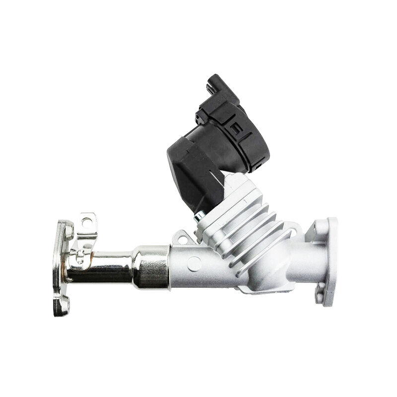 Womala Auto Parts EGR клапан 11717563241 11718479590 для BMW серии 1/3/5